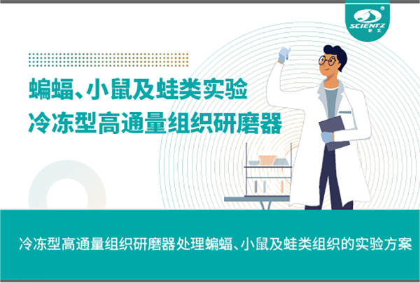 冷凍型高通量組織研磨器處理蝙蝠、小鼠及蛙類組織的實驗方案