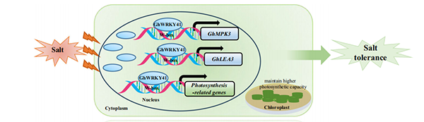 微信圖片_2026-01-22_133700_172